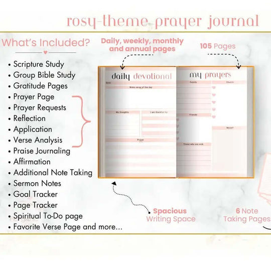 Prayer and Gratitude Learning Bible and Diary