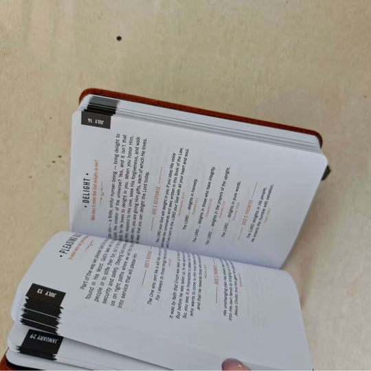 365 Days Daily Devotions for Men