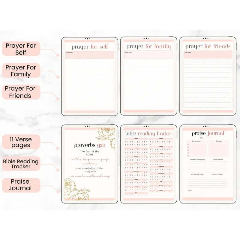 Prayer and Gratitude Learning Bible and Diary