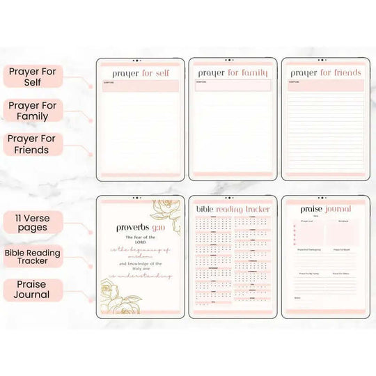 Prayer and Gratitude Learning Bible and Diary