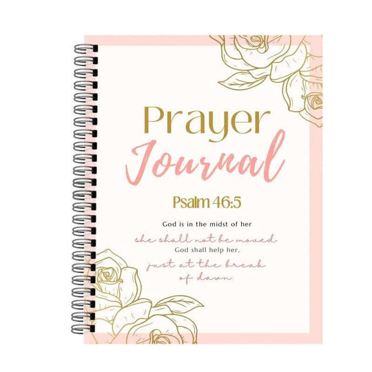 Prayer and Gratitude Learning Bible and Diary