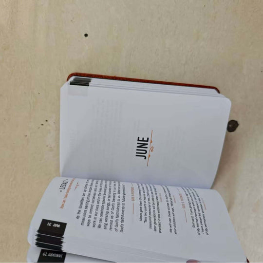 365 Days Daily Devotions for Men