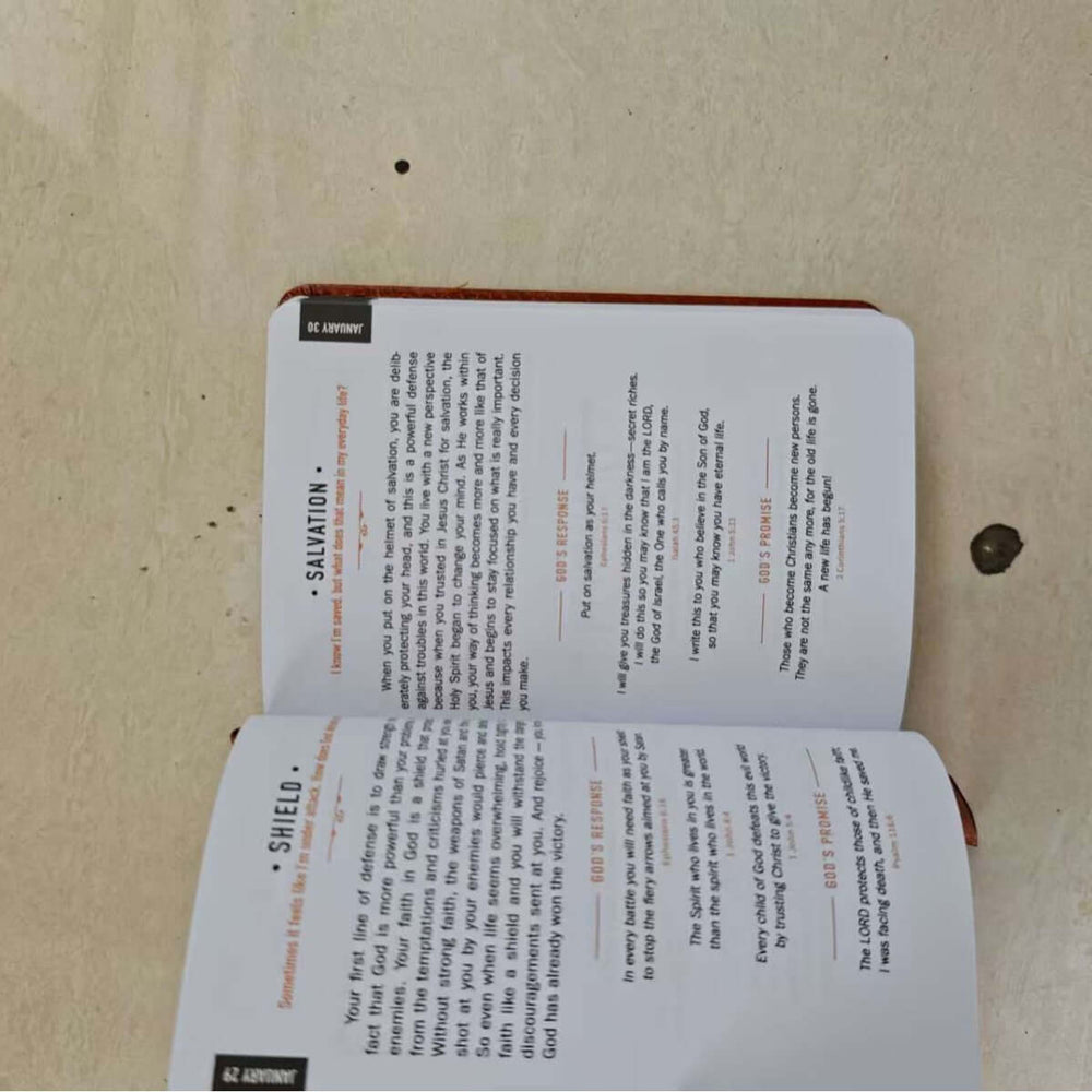 365 Days Daily Devotions for Men