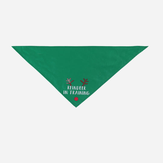 Christmas Pet Holiday Scarf