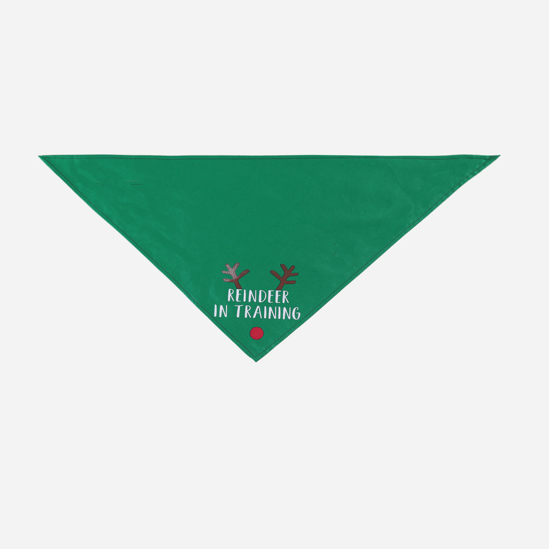 Christmas Pet Holiday Scarf